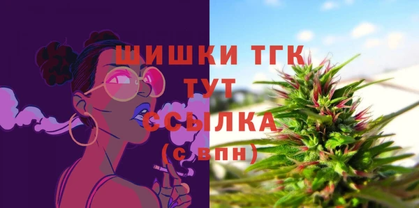 MDMA Новозыбков