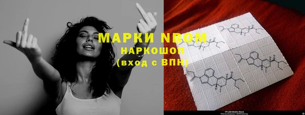 амф Новодвинск