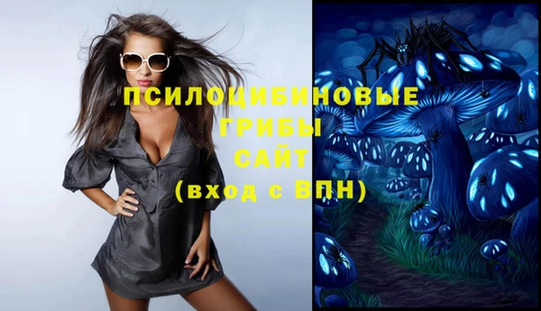 MDMA Новозыбков